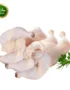 Chicken Leg Whole (7 pcs) fresh, juicy, and halal-certified