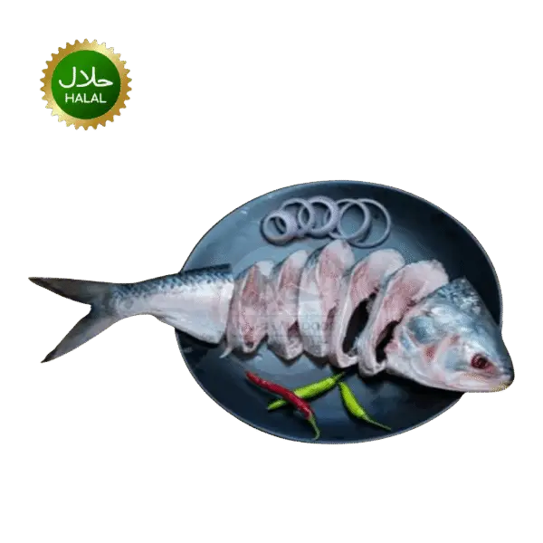 Hilsha cut 600g