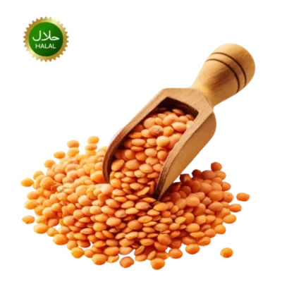 Masoor dal (bd)