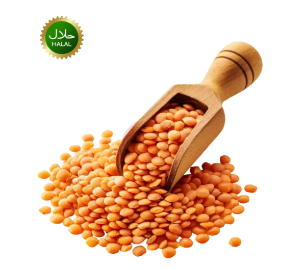 Masoor dal (bd)