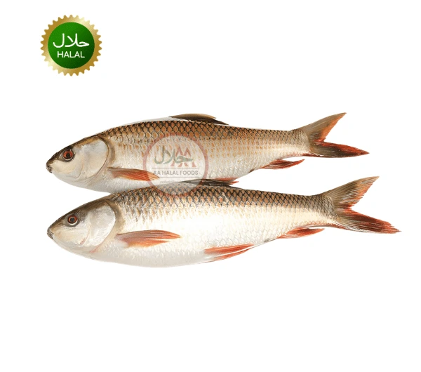 Ruhi fish (cleaned) 1KG 