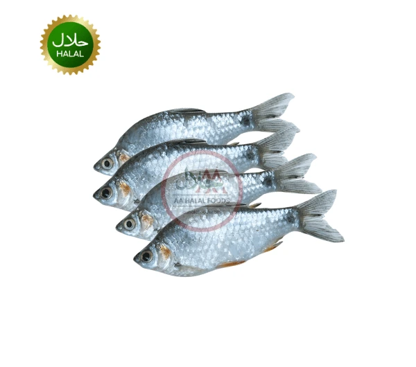 Shorputi small (4pcs)