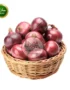 Fresh Onion