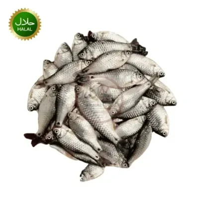 Deshi puti fish