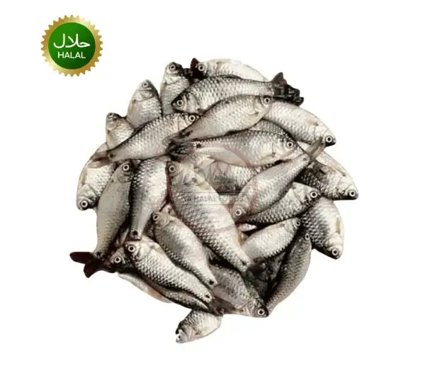 Deshi puti fish Deshi puti fish