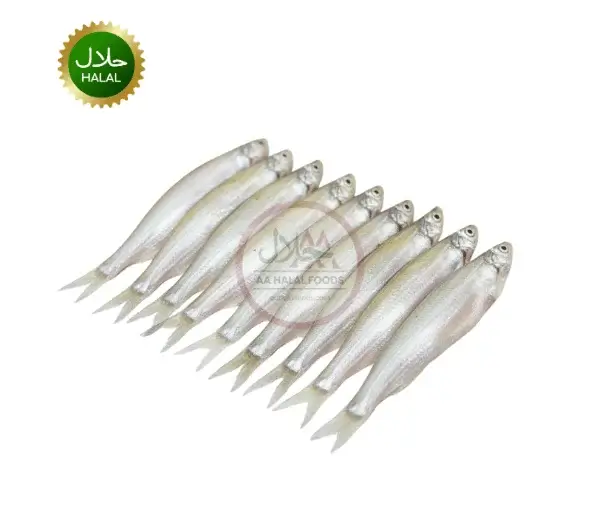 Kajoli Fish Kajoli Fish