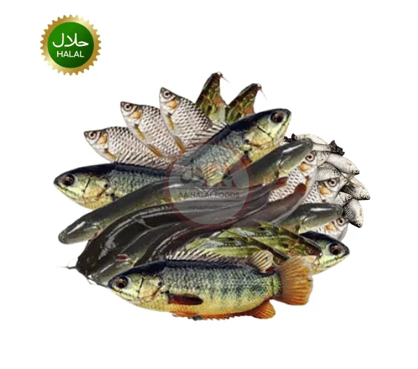 Mixed Fish Mix Fish