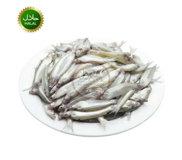 batashi Fish batashi Fish