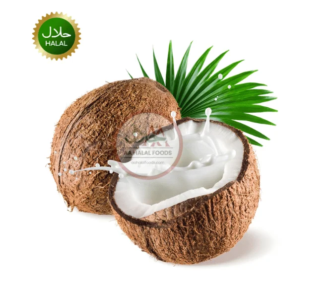 CoconutNarikel Fresh Coconut / Narikel 1Pc - Image 1
