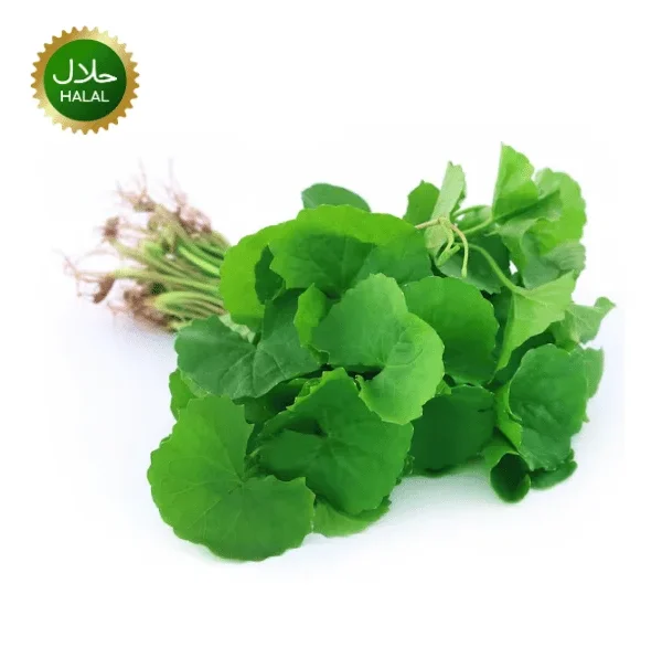 Fresh Thankuni Pata 100g