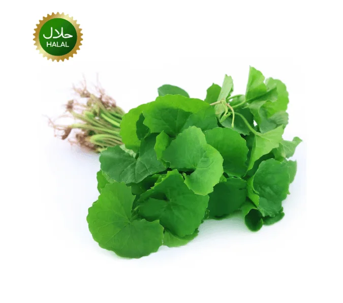 Thankuni Pata Fresh Thankuni Pata 100g - Image 1