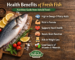 Fresh fish nutrition and health benefits guide from Aahalal Foods