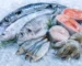 Frozen Fish Online Japan from AA Halal Foods - Premium Halal Seafood
