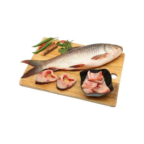Halal Fish in Chiba